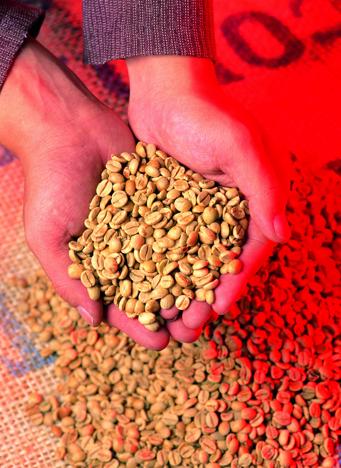 美味しいコーヒーを栽培する第一条件は気候！？