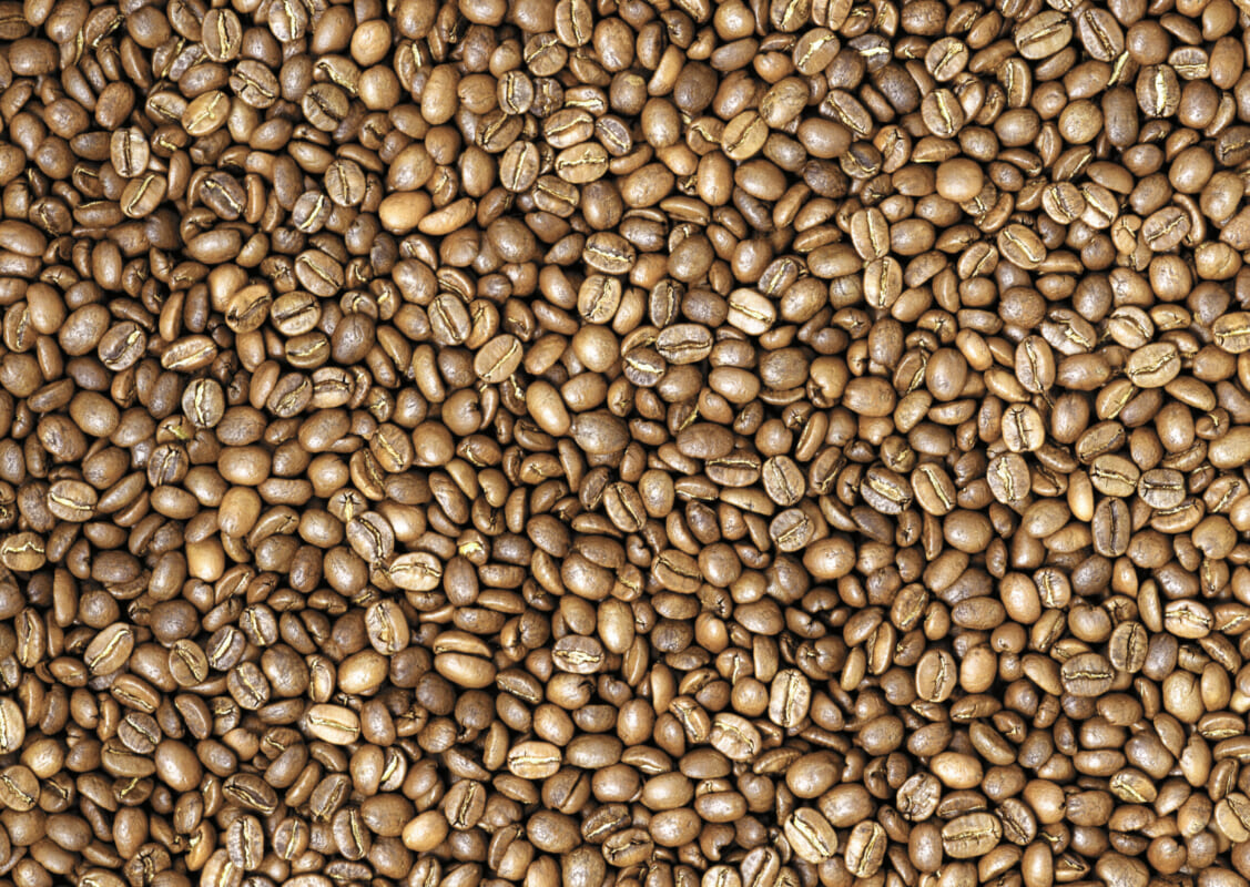 ハニープロセスの生産処理方法とは?