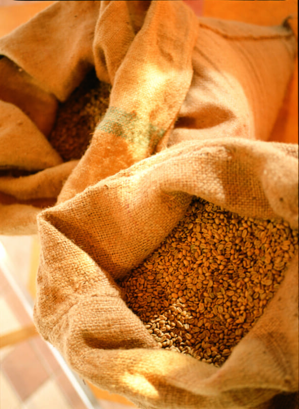 「スマトラ式」の精製方法や特徴