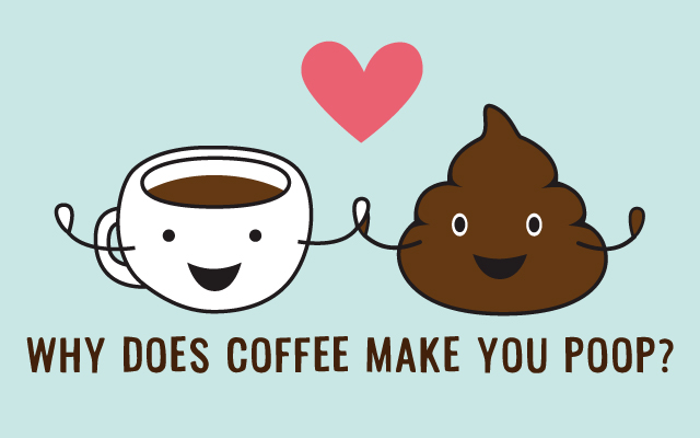 scolumimg210715 | コーヒーステーション コーヒーとうんこの不思議な関係