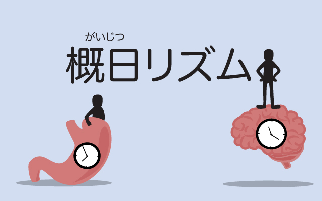 scolumimg2107282 | コーヒーステーション 概日リズム