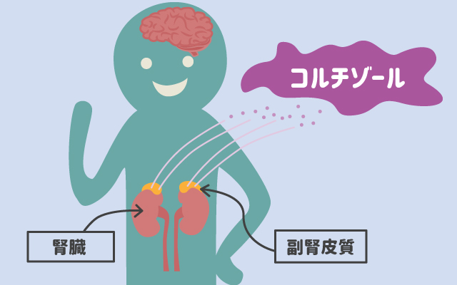 scolumimg2107283 | コーヒーステーション コルチゾール