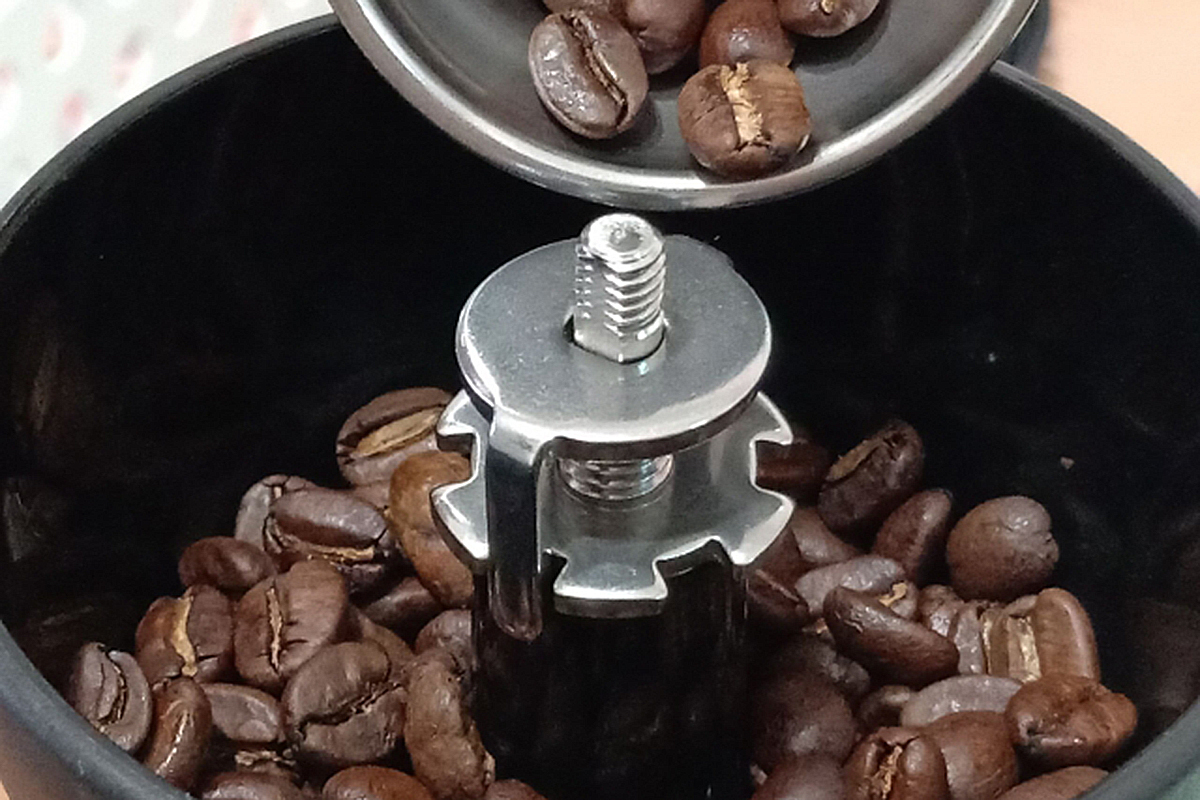 コーヒー豆の違いは味の違い