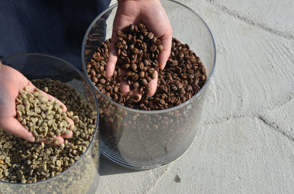「廃棄豆」って?コーヒーカスとの違い