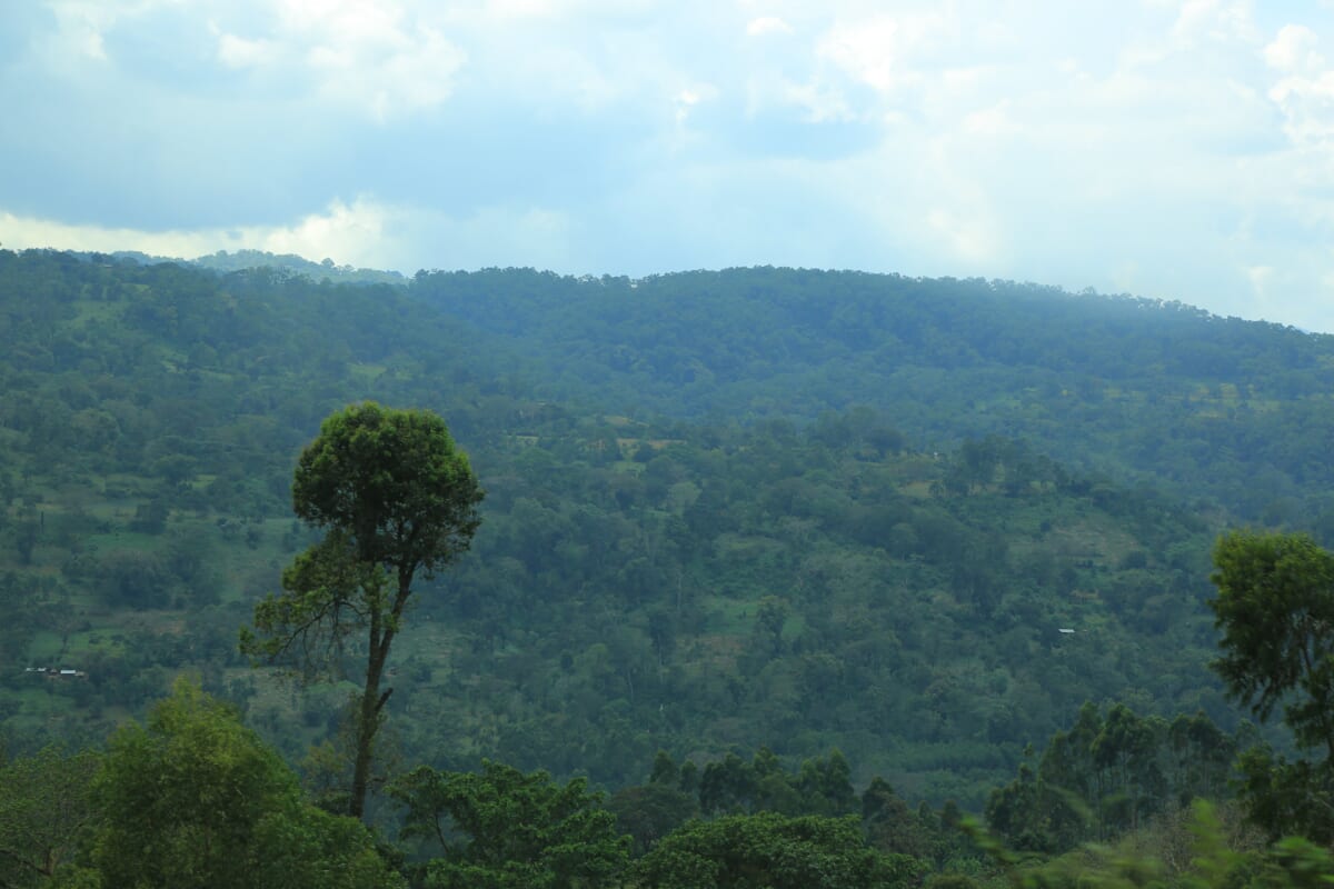 現地の支援活動にも
