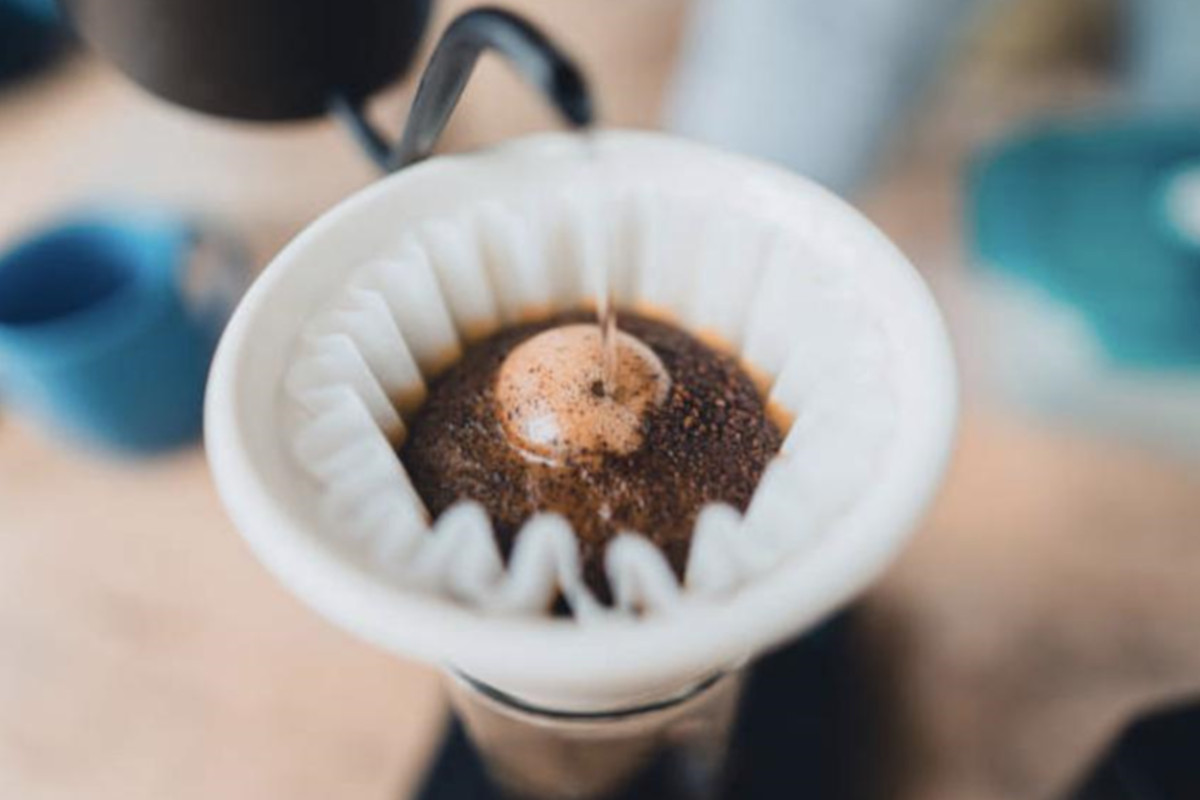 蒸らしは鮮度チェック