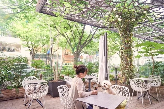 230324z3 | コーヒーステーション