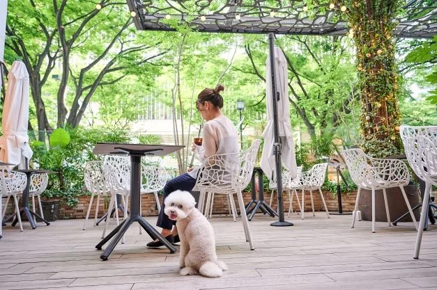 230324z4 | コーヒーステーション