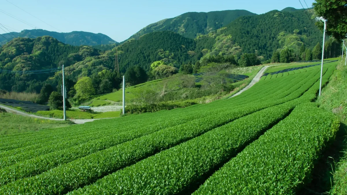 231221o9 | コーヒーステーション