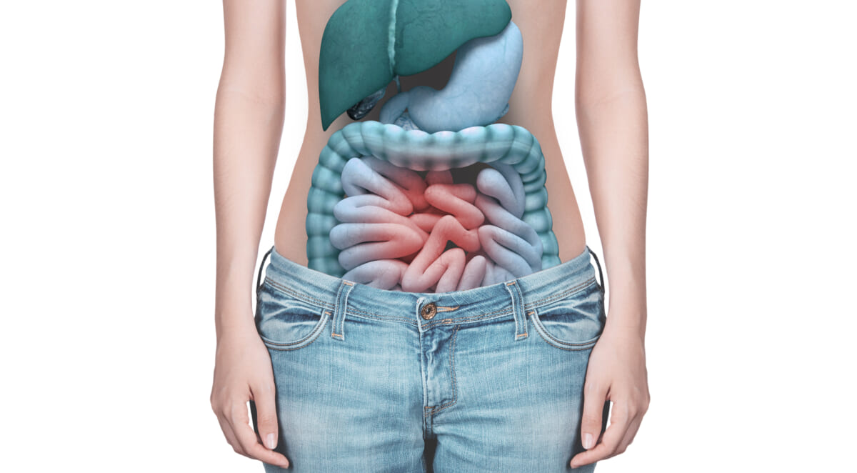 Anatomia intestino con dolore o infiammato | コーヒーステーション