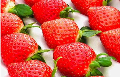 2407172 | コーヒーステーション