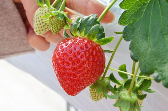 24171711 | コーヒーステーション