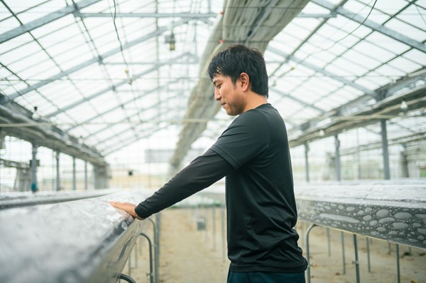 2417175 | コーヒーステーション