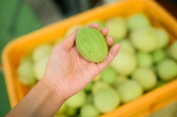 2417179 | コーヒーステーション