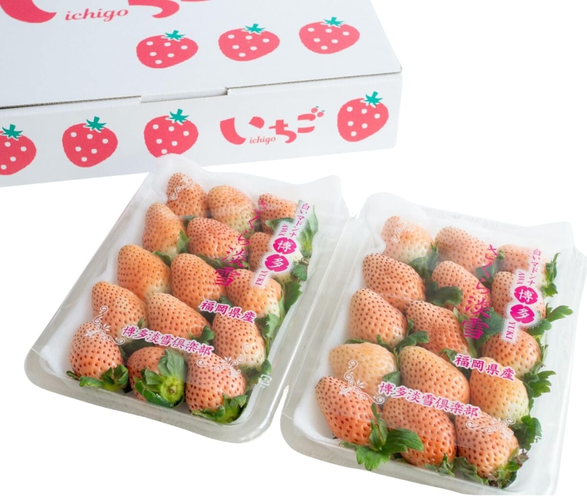 71iWXgBX9FLACSL1500 | コーヒーステーション