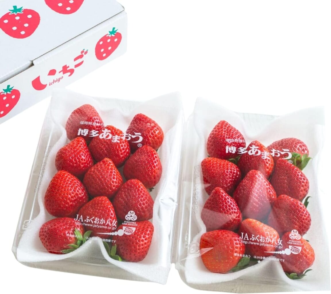 812E1PQHWULACSL1500 | コーヒーステーション