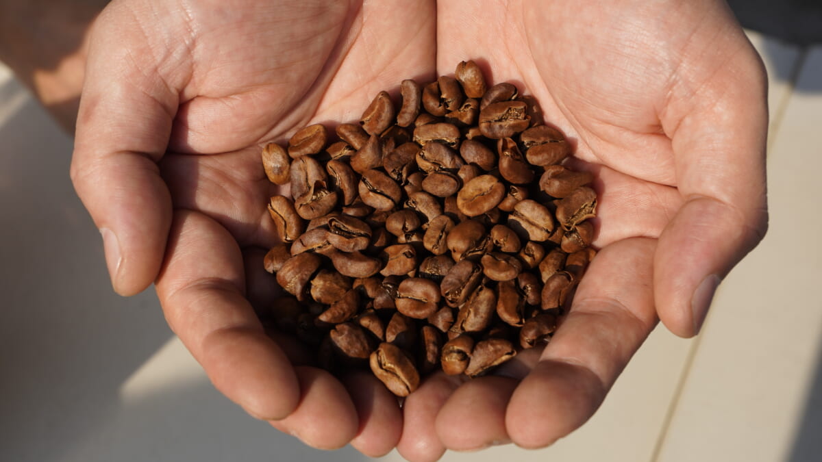 sub8 | コーヒーステーション