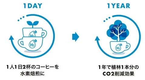 年間CO2削減効果