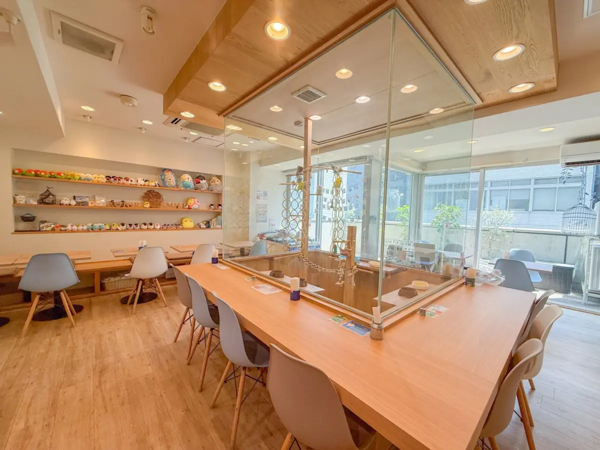 ことりすまいるカフェの様子
