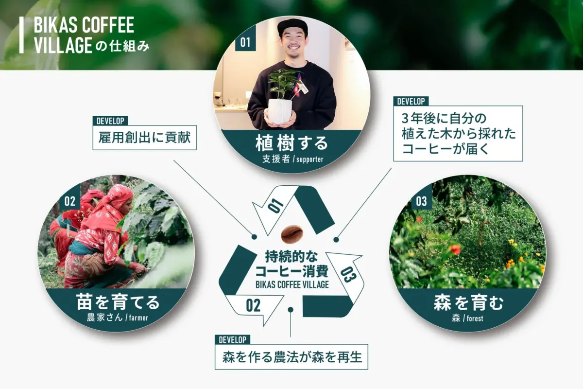 BIKAS COFFEE VILLAGE の仕組み