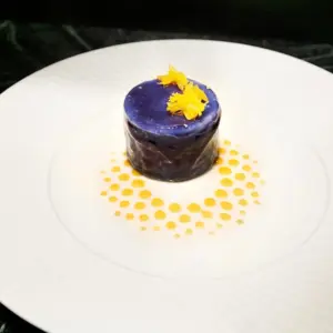 Purple glazed dessert cylinder with yellow edible flowers plated with a dotted yellow sauce design on a white plate