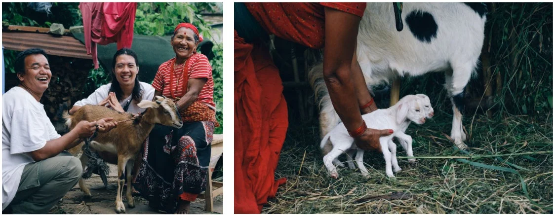 ヤギと触れ合う農村の人々