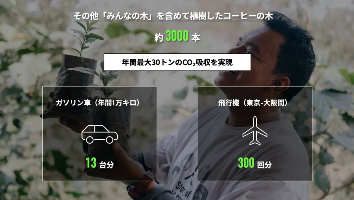 コーヒーの木によるCO2吸収効果