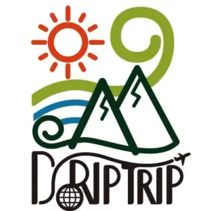 Colorful travel logo with a red sun green spirals blue waves and stylized mountains above the word GO TRIP with a globe motif