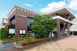 Modern brick and glass commercial building with OGAWA signage and a large tree in front brick sidewalk and a two story exterior staircase on the right side