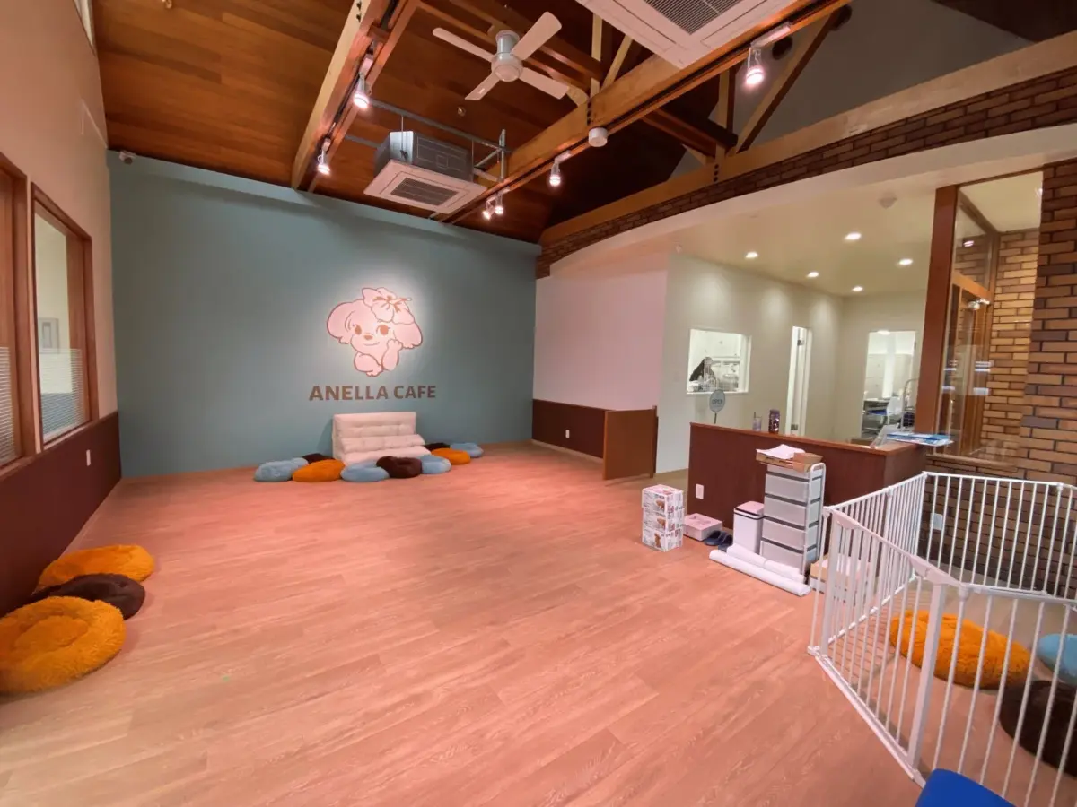 ANELLA CAFEの広々とした店内空間