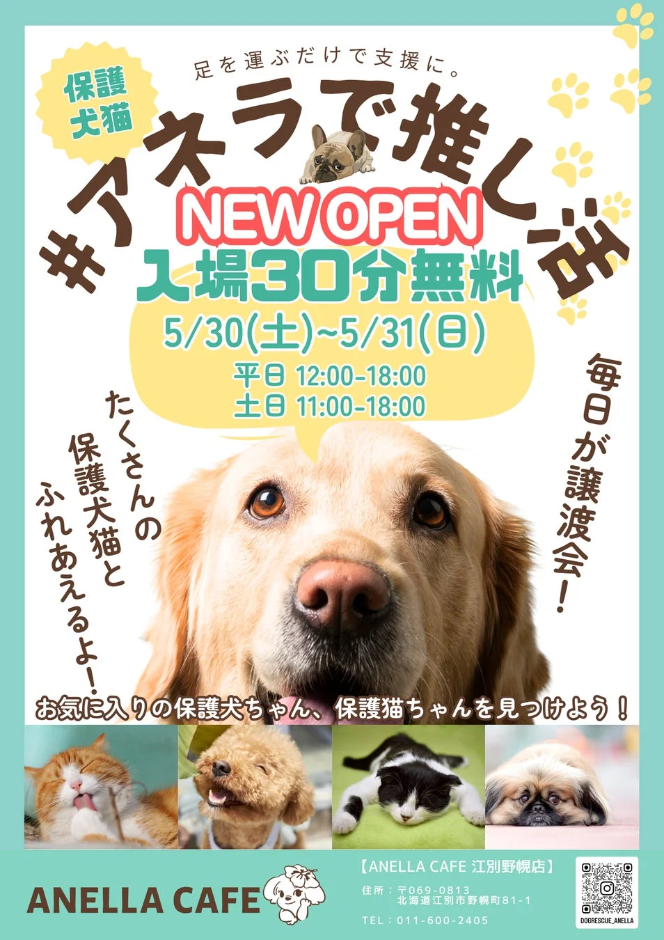 ANELLA CAFE 江別野幌店のオープンキャンペーン告知