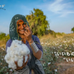 Smiling woman in a cotton field presents a fluffy cotton boll toward the camera Fair Trade logo in the top left corner