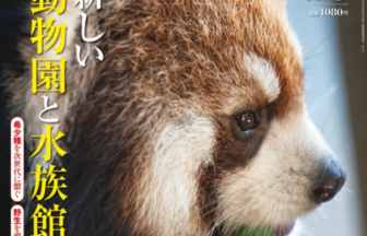Close up of a red panda chewing a leaf on the cover of a Japanese magazine June 2026 issue with bold vertical article headlines
