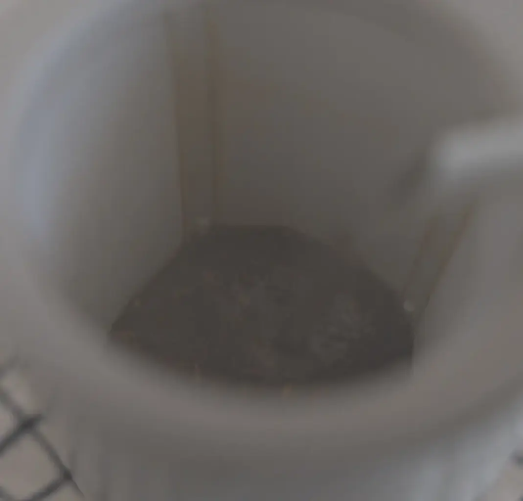 1780403328EHIXlTwSuAc9t5CoUY4gLv8R | コーヒーステーション Dark water pooled in a white toilet bowl with visible grime along the interior rim and floor