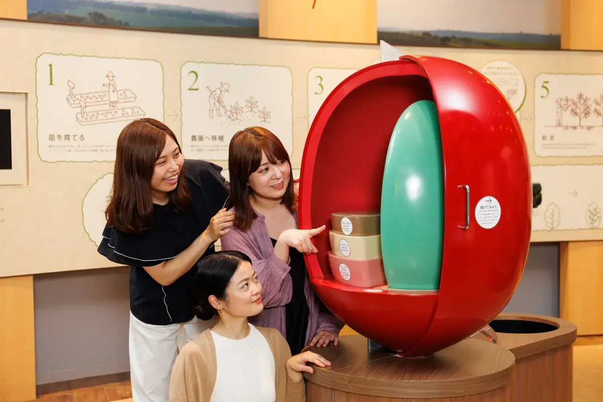 展示会場で3人の女性が、リンゴの断面模型を見学しています。模型はルテイン、ペクチン、ポリフェノールなどの栄養素を示し、背景には農業工程のパネルがあります。女性たちは笑顔で展示を楽しんでいます。