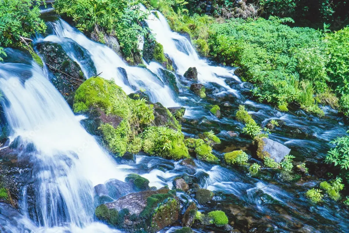 北海道・羊蹄山の美しい湧き水