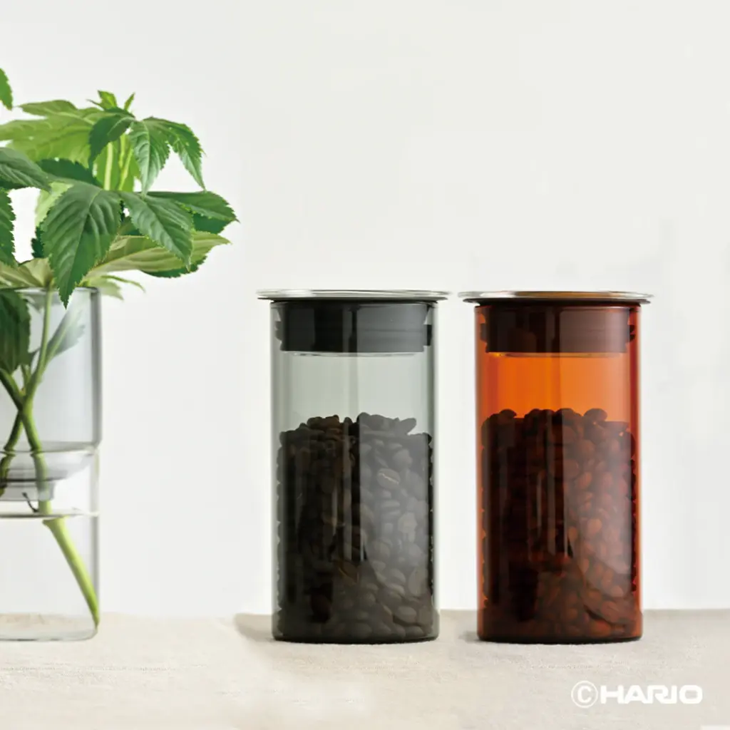 Two glass jars with metal lids on a light surface each filled with roasted coffee beans one dark liquid left one amber liquid right with a green plant nearby
