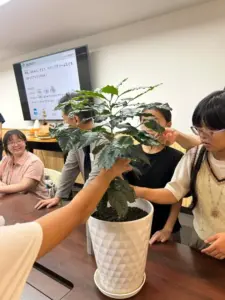 Group of people around a conference table touching a tall leafy plant in a white textured pot during a meeting or demonstration