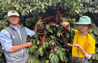 Two people stand beside a coffee bush loaded with red cherries, touching the branches.