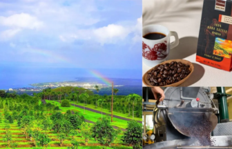 Collage showing a tropical coffee farm with a rainbow over the ocean, plus a coffee cup, a bowl of beans and Kona coffee packaging, and a coffee roaster in operation.