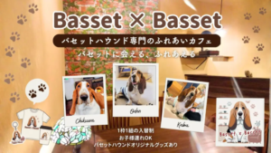 Promotional banner for a Basset Hound cafe with three Polaroid photos of Basset Hounds labeled Chikuwa Oden and Kaba and paw print decor