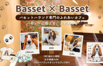 Promotional banner for a Basset Hound cafe with three Polaroid photos of Basset Hounds labeled Chikuwa, Oden, and Kaba, and paw-print decor