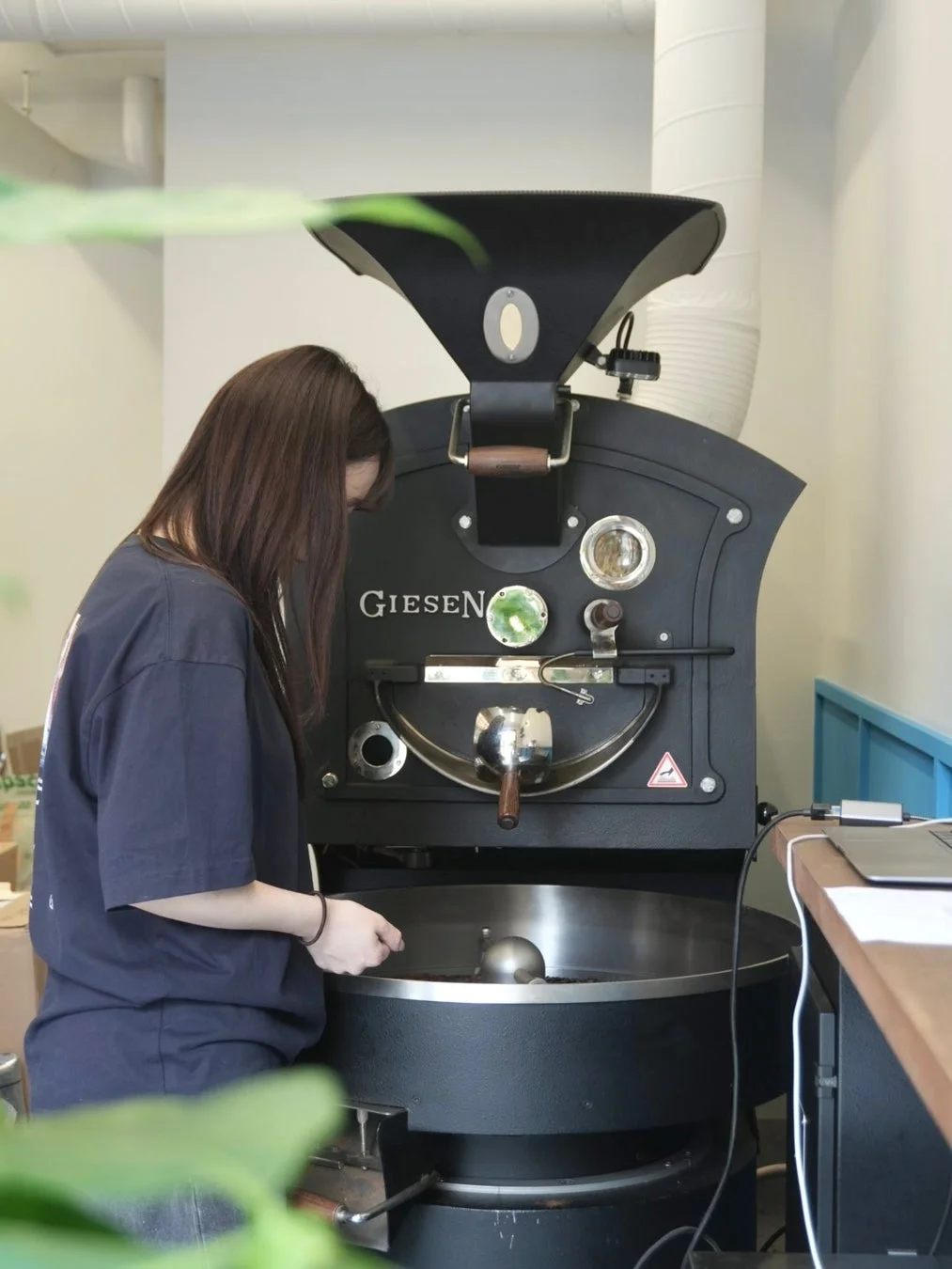女性がGIESEN製のコーヒー焙煎機で焙煎後のコーヒー豆をチェックしている様子