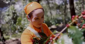 Woman in orange headscarf and shirt picking red berries in a sunny garden