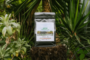 196d128452203a432d2f47cf254784e1resized964x643 | コーヒーステーション Black resealable coffee bag labeled JAPAN TOKUNOSIMA CWS placed on a tree stump among tropical plants outdoors showing the product