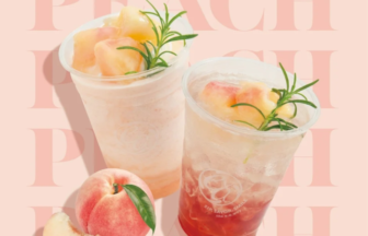 Two peach beverages with peach slices and rosemary garnish on a peach pink background one light smoothie and one iced drink beside whole and sliced peaches
