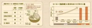 Infographic left table compares domestic vs foreign coffee components center cross section of a coffee bean with labeled layers right bar chart shows trigonelline in extracted coffee across methods like Mocha Colombia deep roast special blend French press and drip