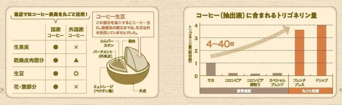 トリゴネリン比較図