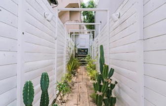 Narrow white walled outdoor corridor lined with tall cactus and greenery leading to a doorway at the end