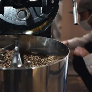 Coffee roasting drum with roasted beans tumbling inside a person in a mask operates the machine in the background